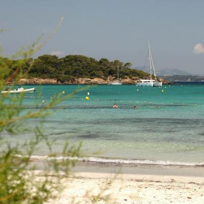 Sable blanc et pinède de la plage d'Argent, la plus populaire de l'Île