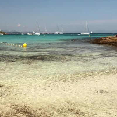 Sable blanc et pinède de la plage d'Argent, la plus populaire de l'Île