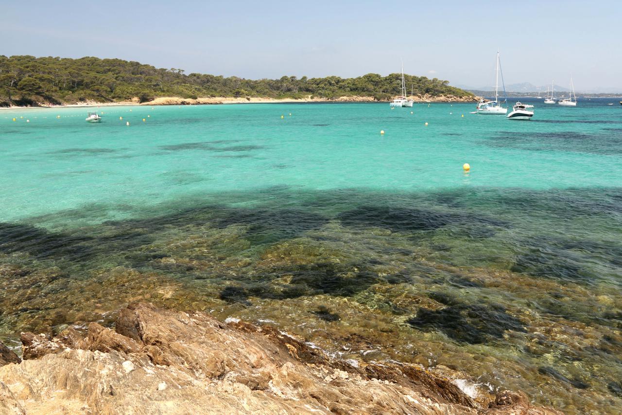 Sable blanc et pinède de la plage d'Argent, la plus populaire de l'Île