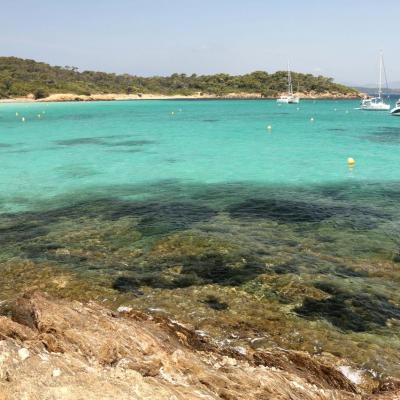 Sable blanc et pinède de la plage d'Argent, la plus populaire de l'Île