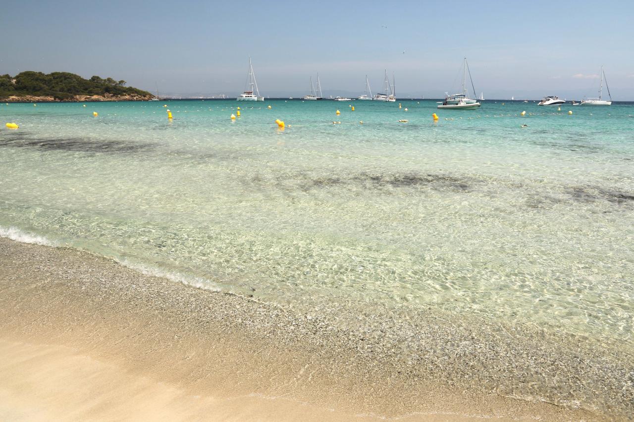 Sable blanc et pinède de la plage d'Argent, la plus populaire de l'Île