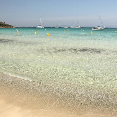 Sable blanc et pinède de la plage d'Argent, la plus populaire de l'Île