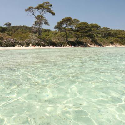 La plage d'Argent, sable blanc et pinède, la plus populaire de l'île