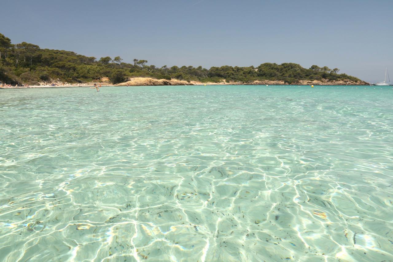 La plage d'Argent, sable blanc et pinède, la plus populaire de l'île