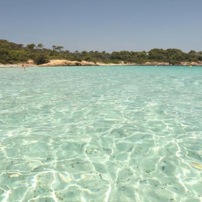 La plage d'Argent, sable blanc et pinède, la plus populaire de l'île