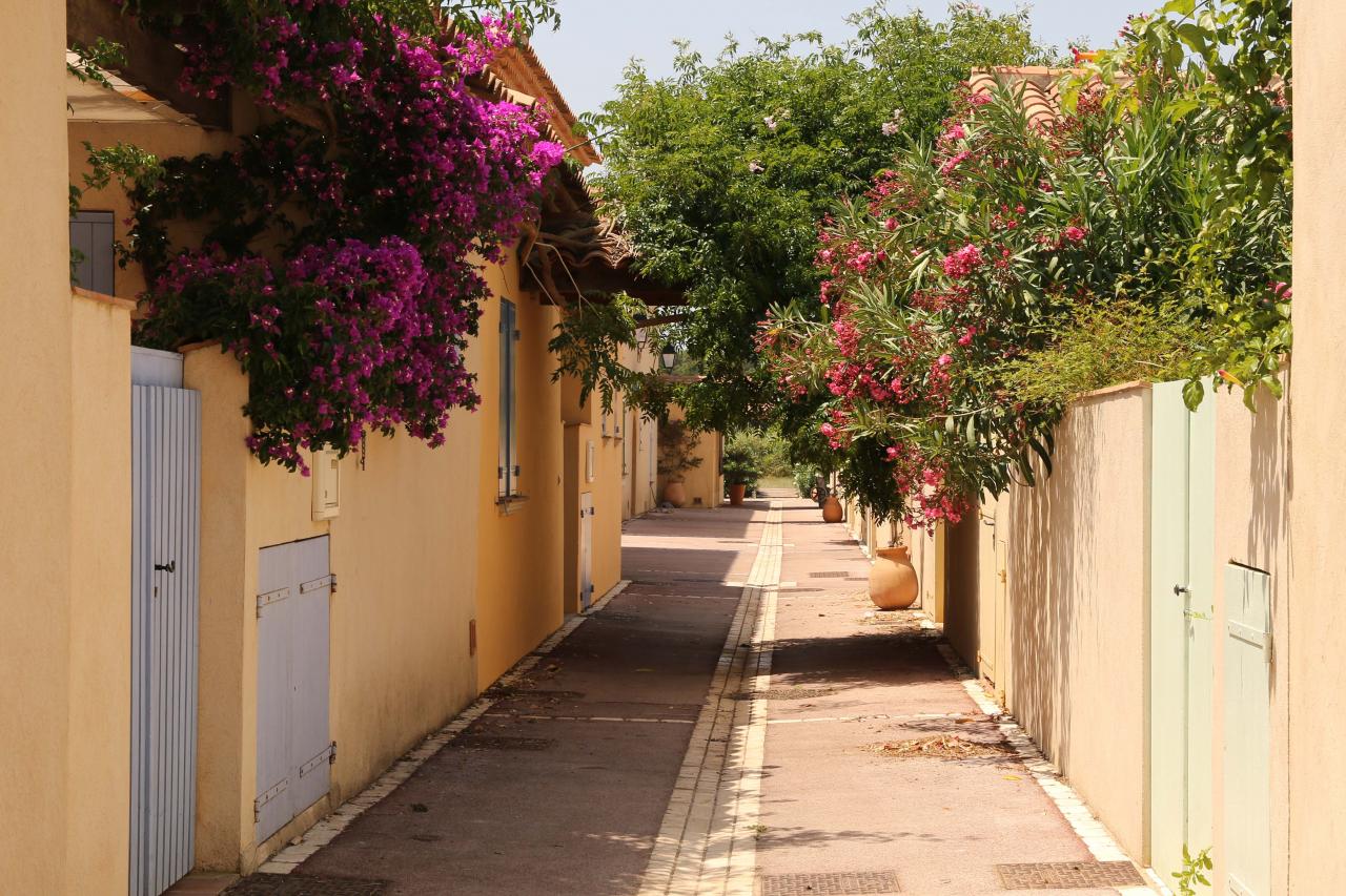 Porquerolles - Le village et ses maisons fleuries