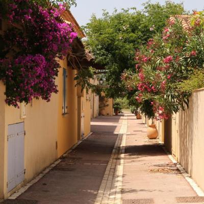 Porquerolles - Le village et ses maisons fleuries