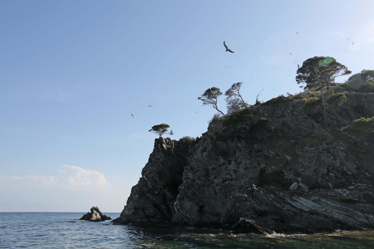 Cap des Mèdes au nord de l'île, mouillage règlementé ... 