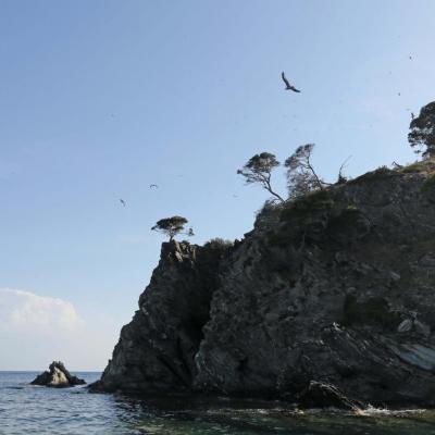 Cap des Mèdes au nord de l'île, mouillage règlementé ... 