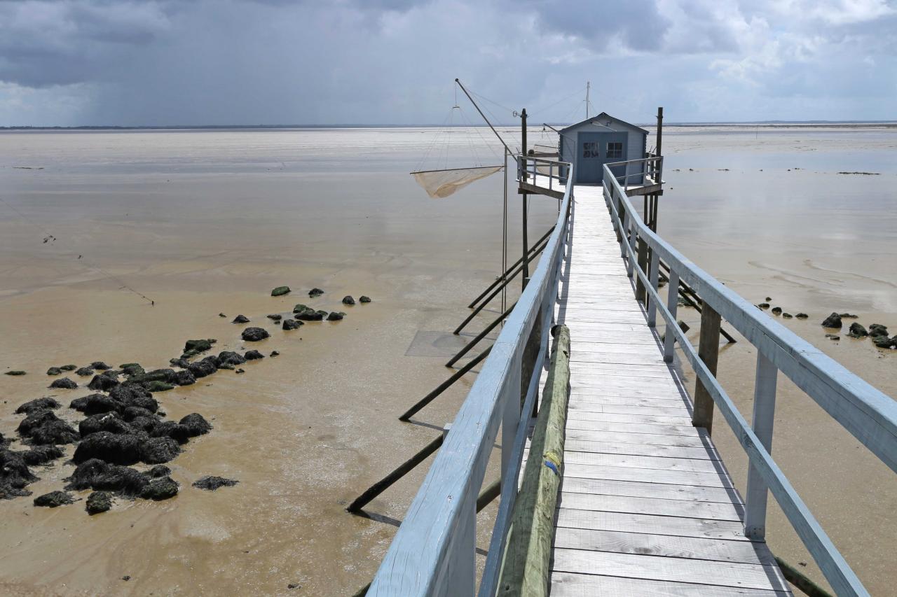 Port des Barques (27)