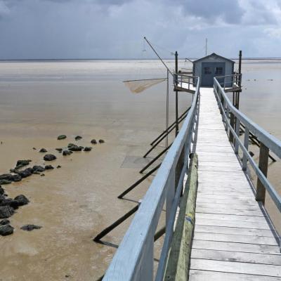 Port des Barques (27)