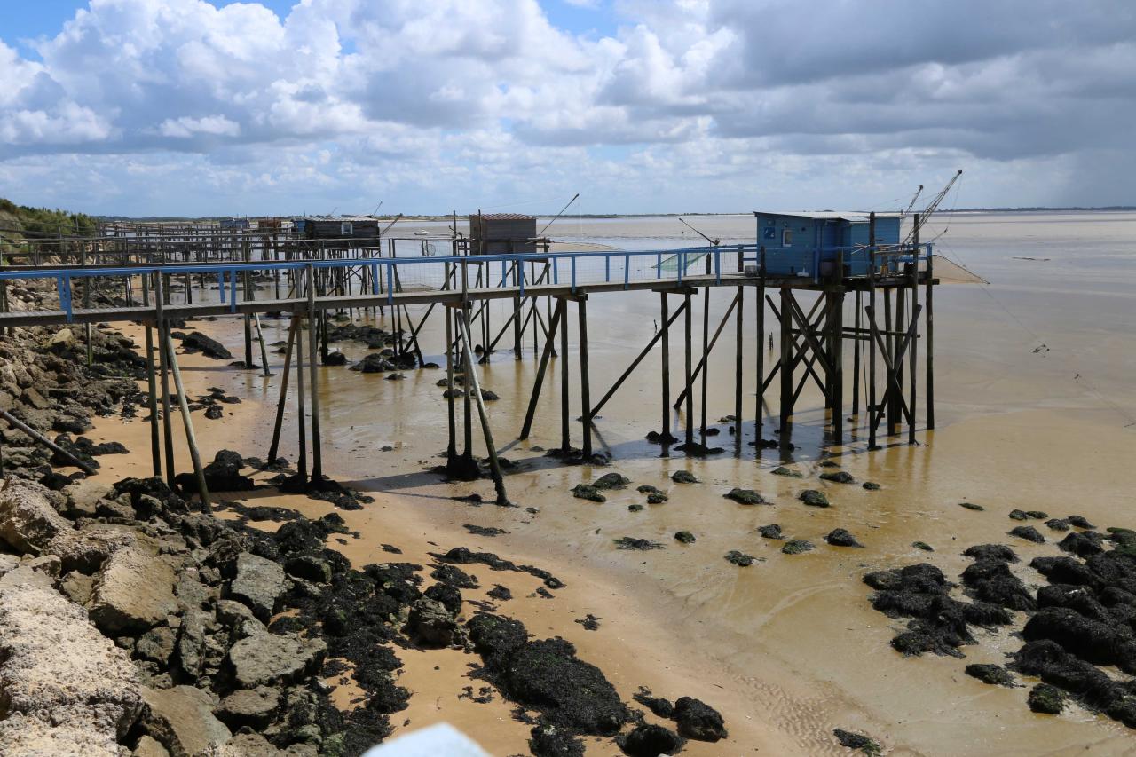 Port des Barques (28)