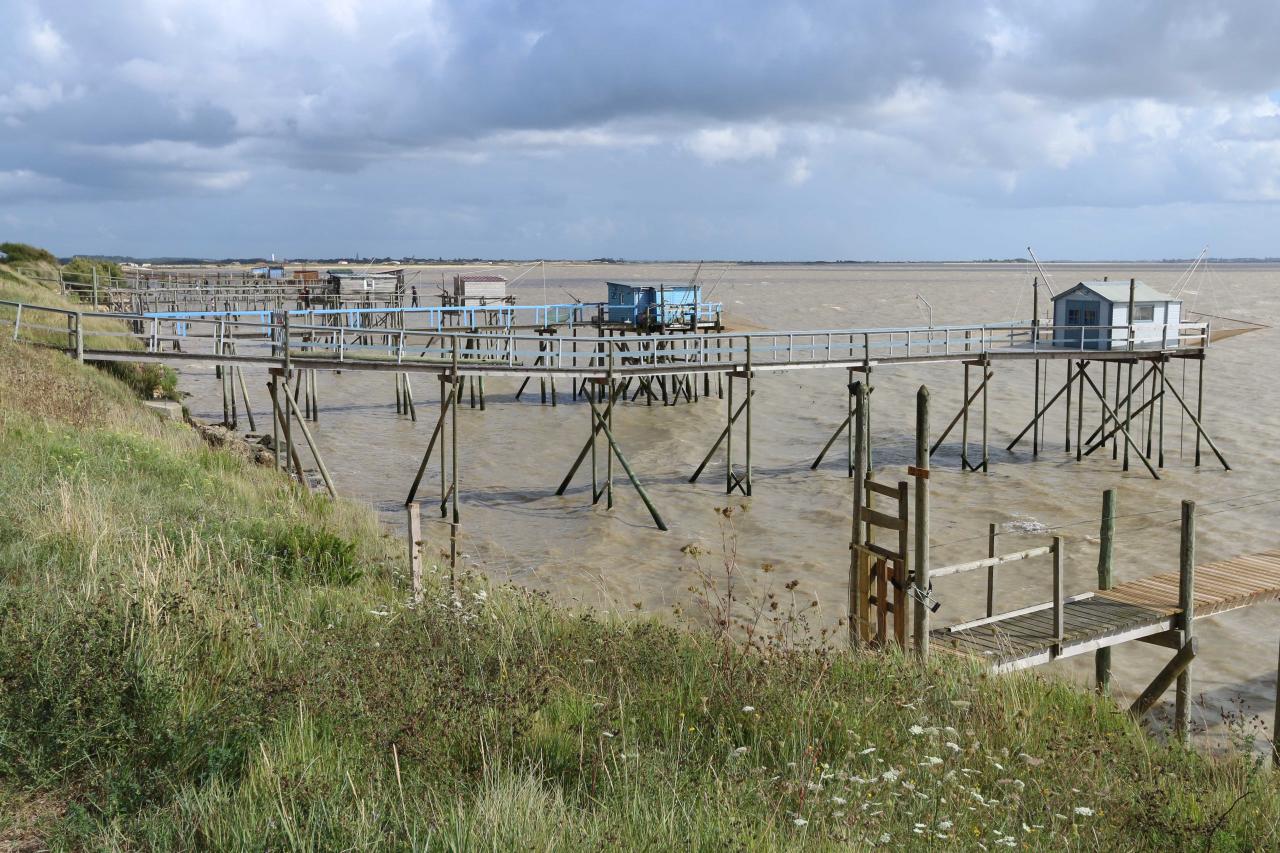 Port des Barques (32)