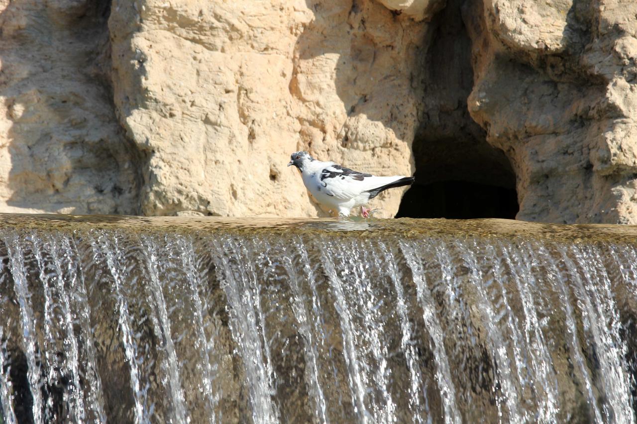 Cascade de Gairaut, chute d'eau artificielle construite au XIXè siècle