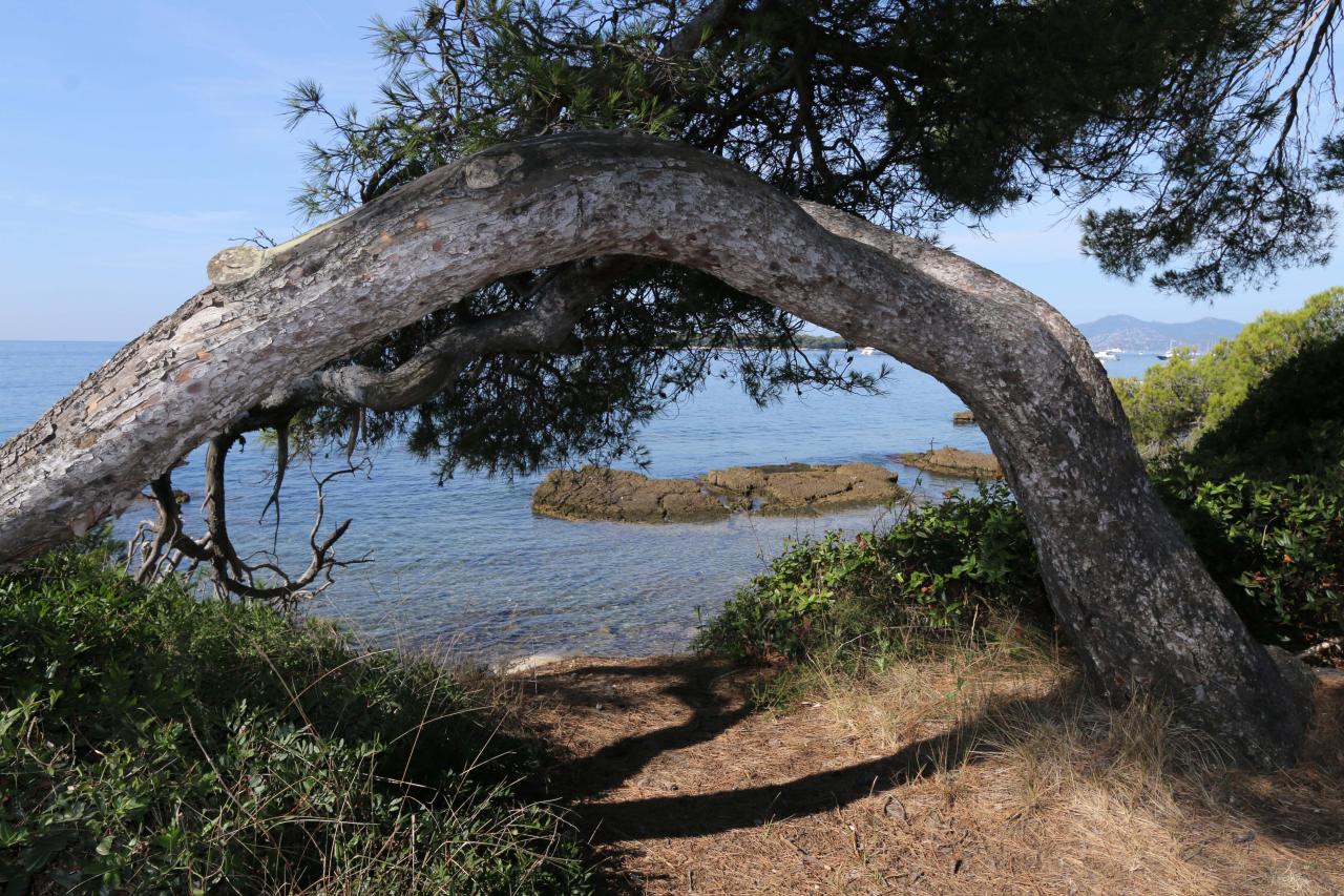 île Sainte-Marguerite 