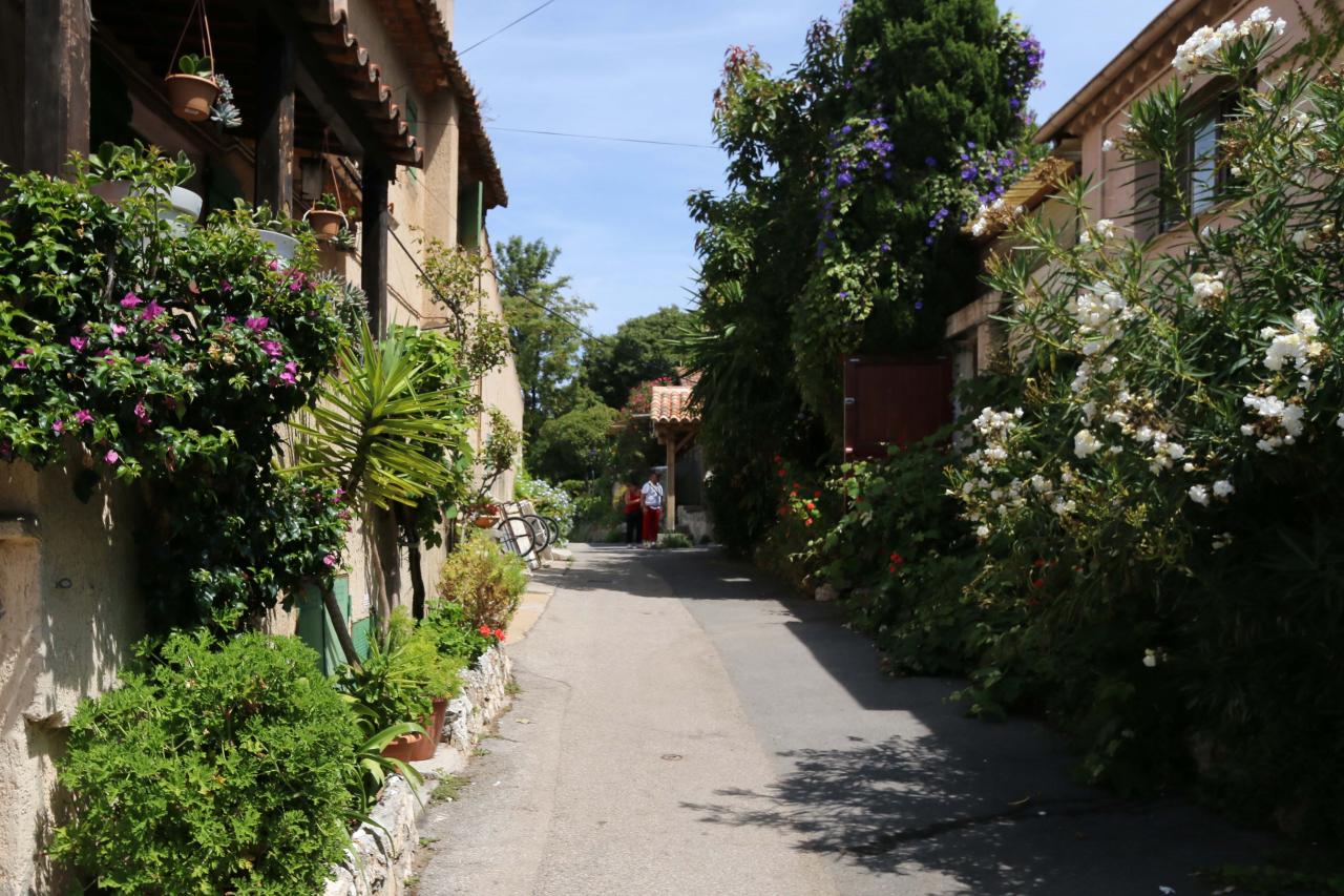 île Sainte-Marguerite 