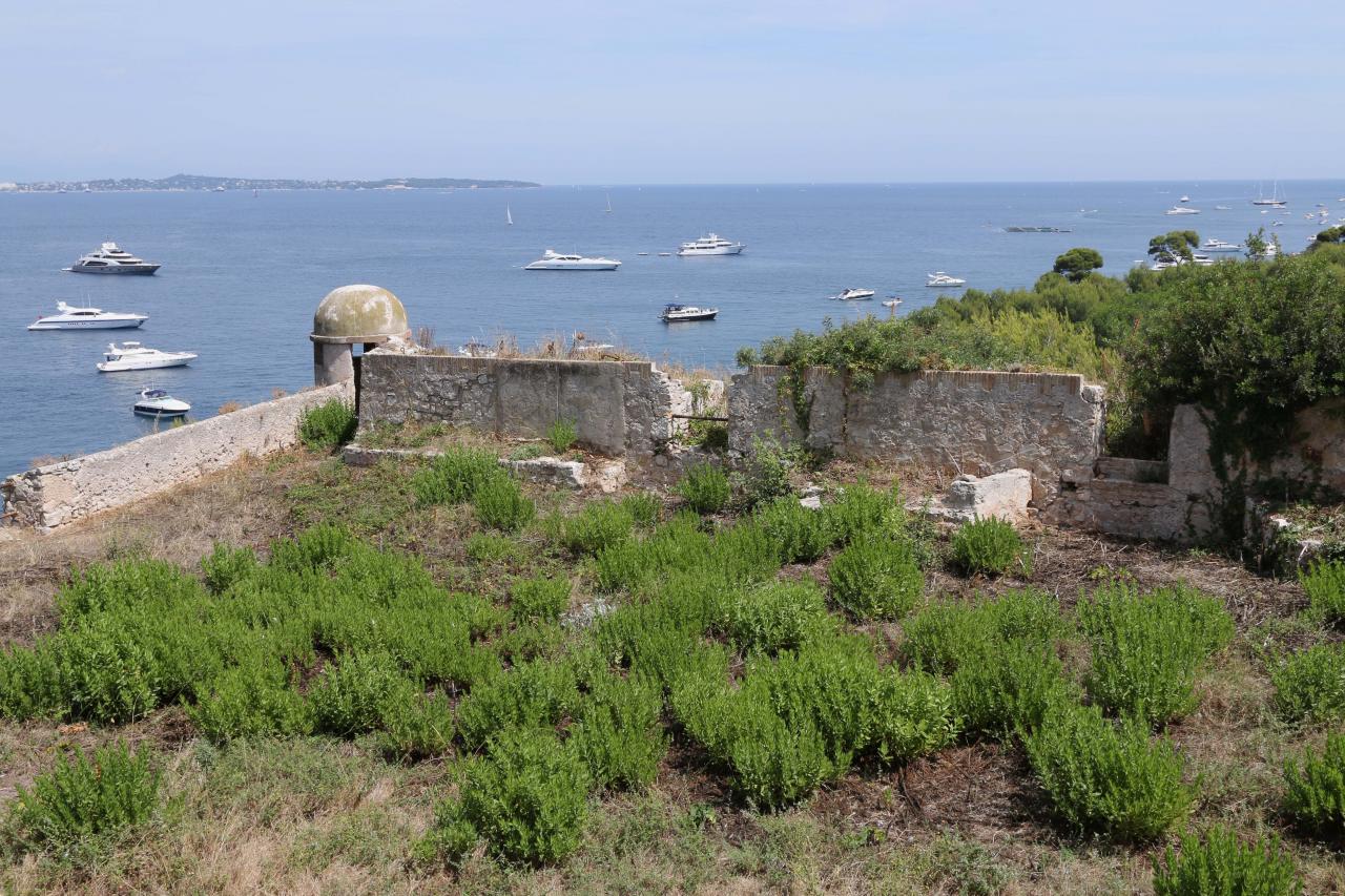 île Sainte-Marguerite 