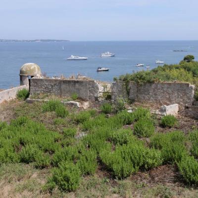 île Sainte-Marguerite 