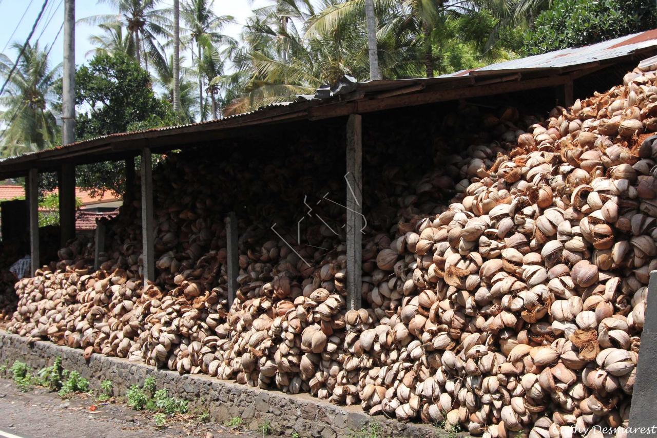 stockage de la noix de coco pour le feu ou autre_GF