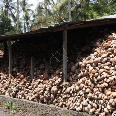 stockage de la noix de coco pour le feu ou autre_GF