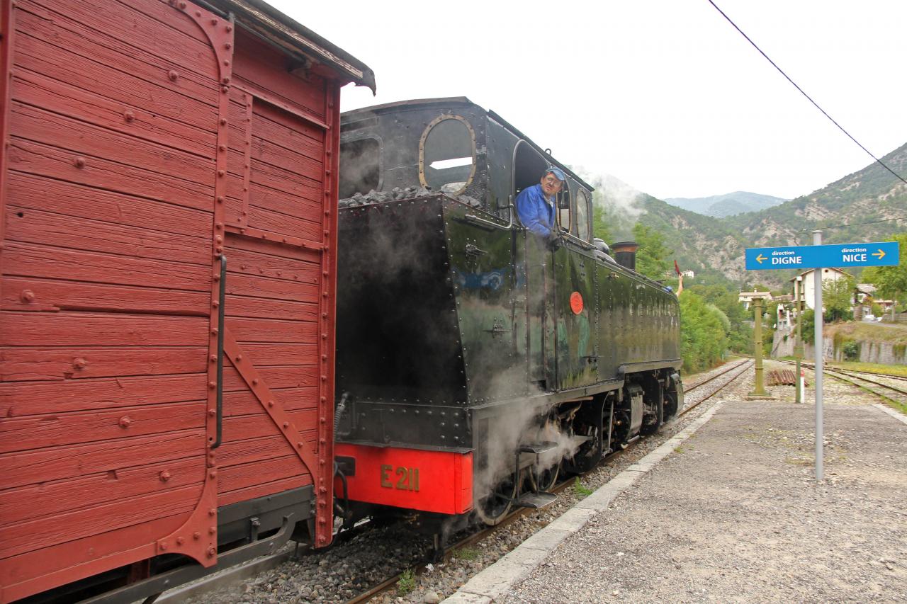 Le train des Pignes à vapeur