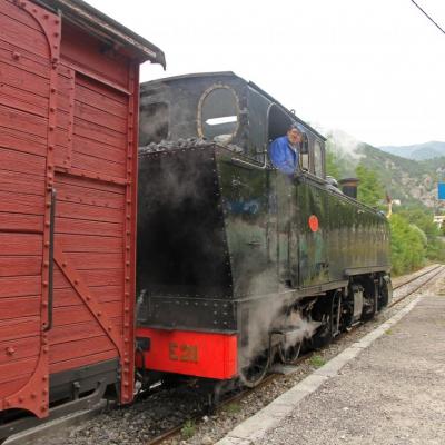 Le train des Pignes à vapeur