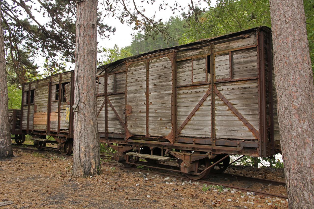 Le train des Pignes à vapeur