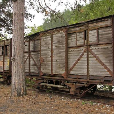 Le train des Pignes à vapeur