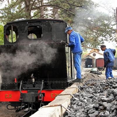 Le train des Pignes à vapeur