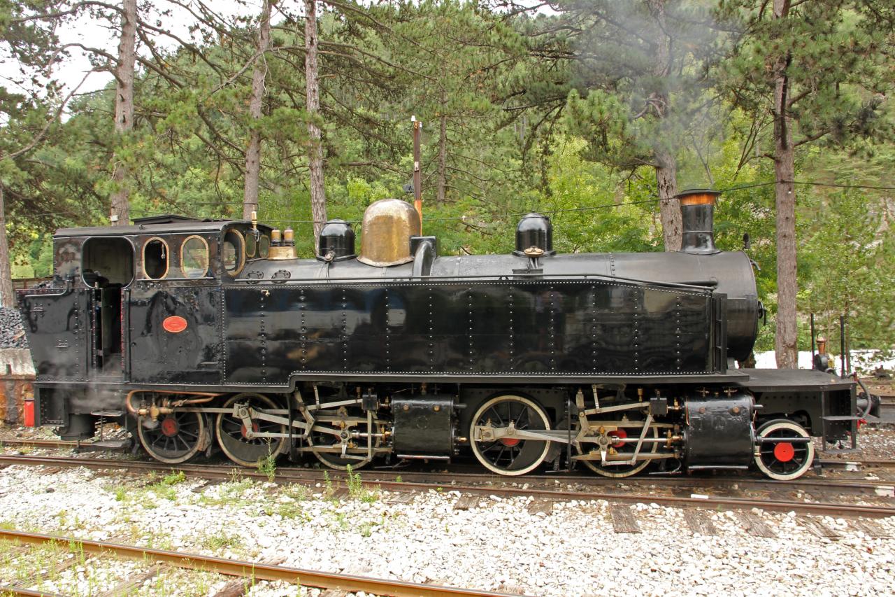 Le train des Pignes à vapeur