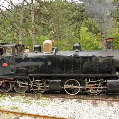 Le train des Pignes à vapeur