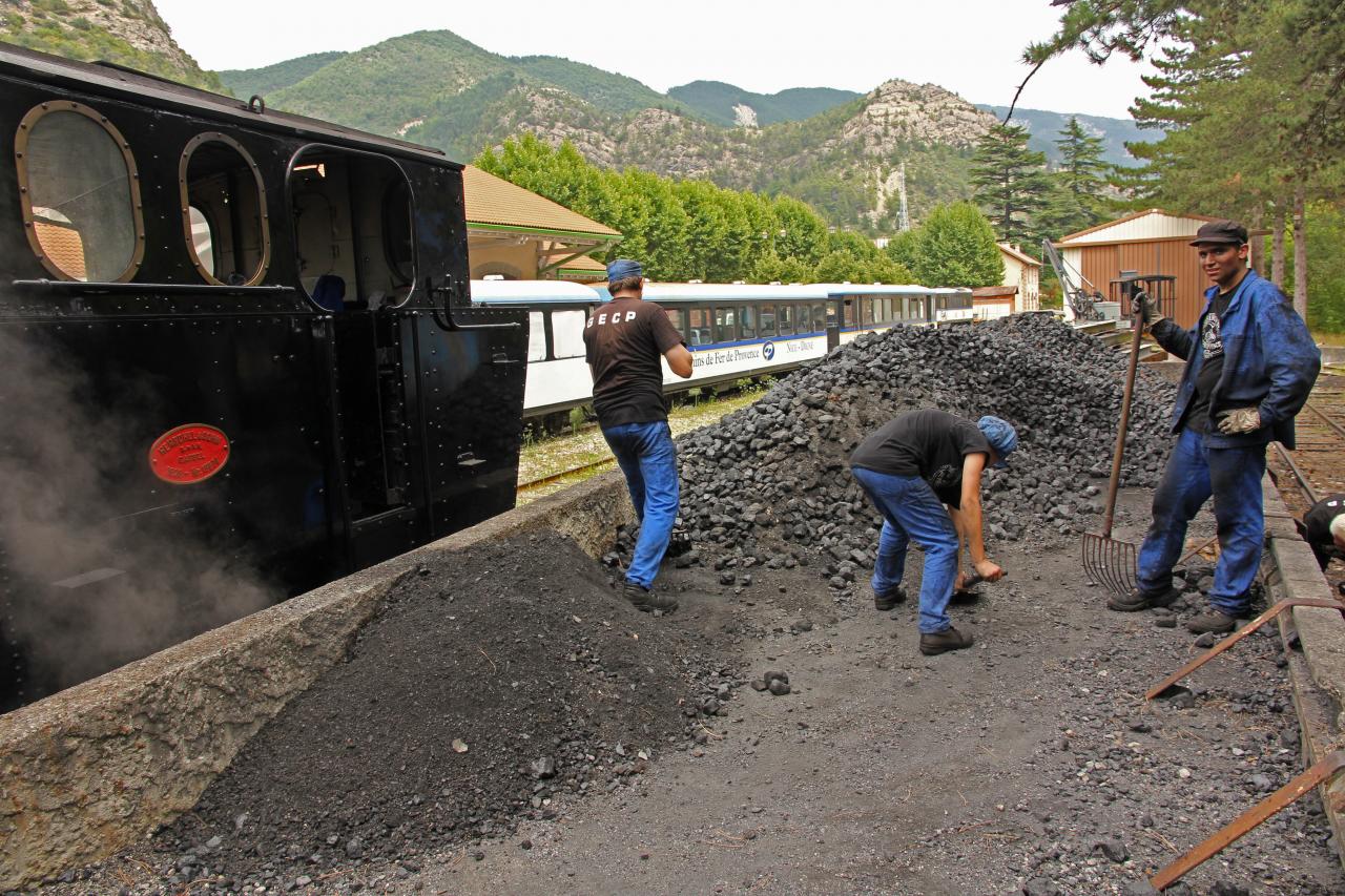 Le train des Pignes à vapeur