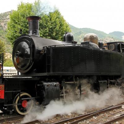 Le train des Pignes à vapeur