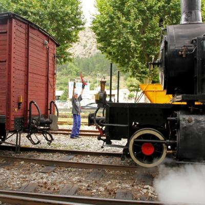 Le train des Pignes à vapeur