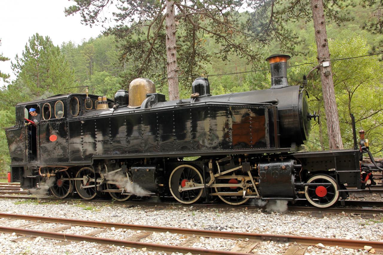 Le train des Pignes à vapeur