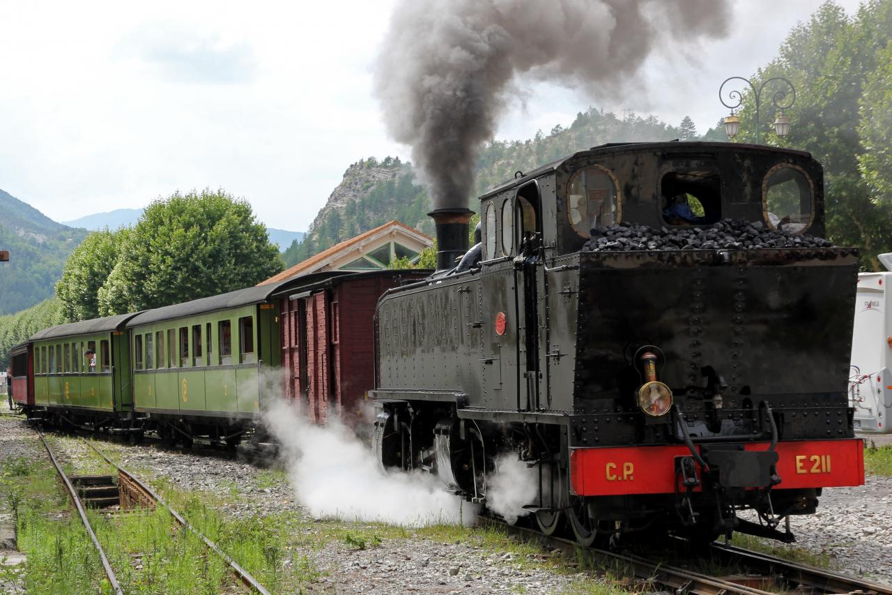 Le train des Pignes à vapeur