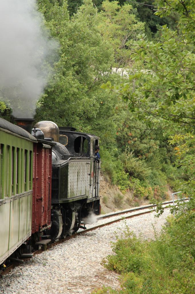 Le train des Pignes à vapeur