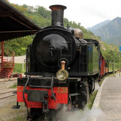 Le train des Pignes à vapeur