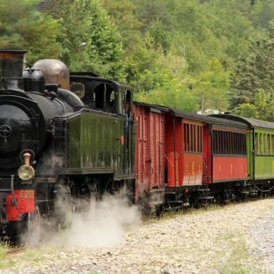 Le train des Pignes à vapeur