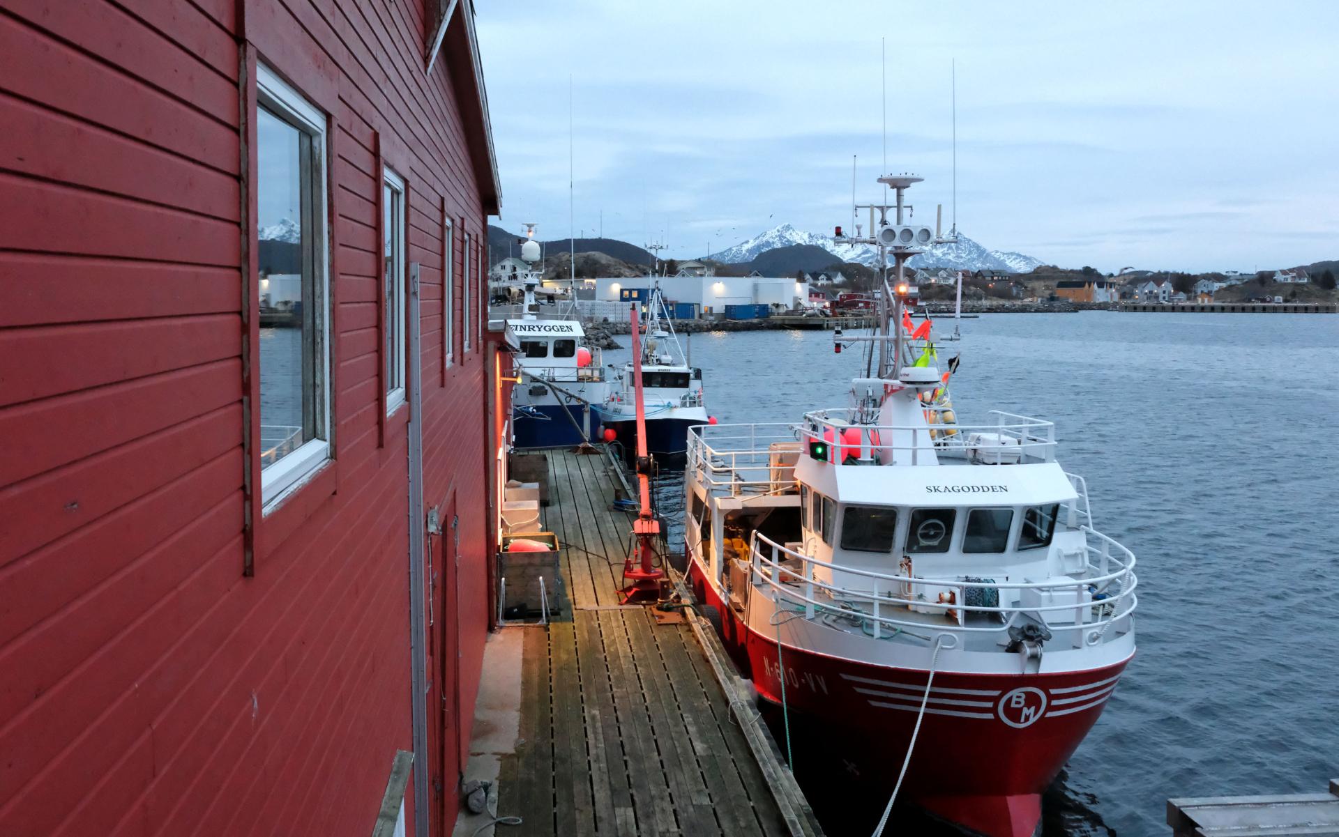 Fish Factory Ballstad