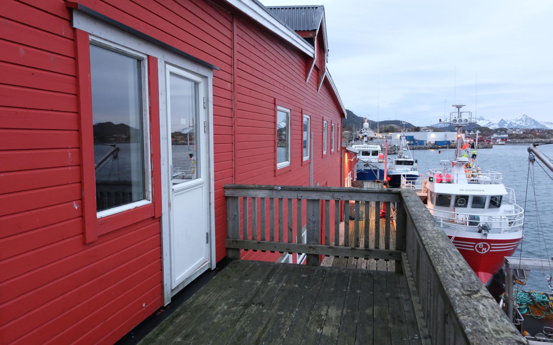 Fish Factory Ballstad