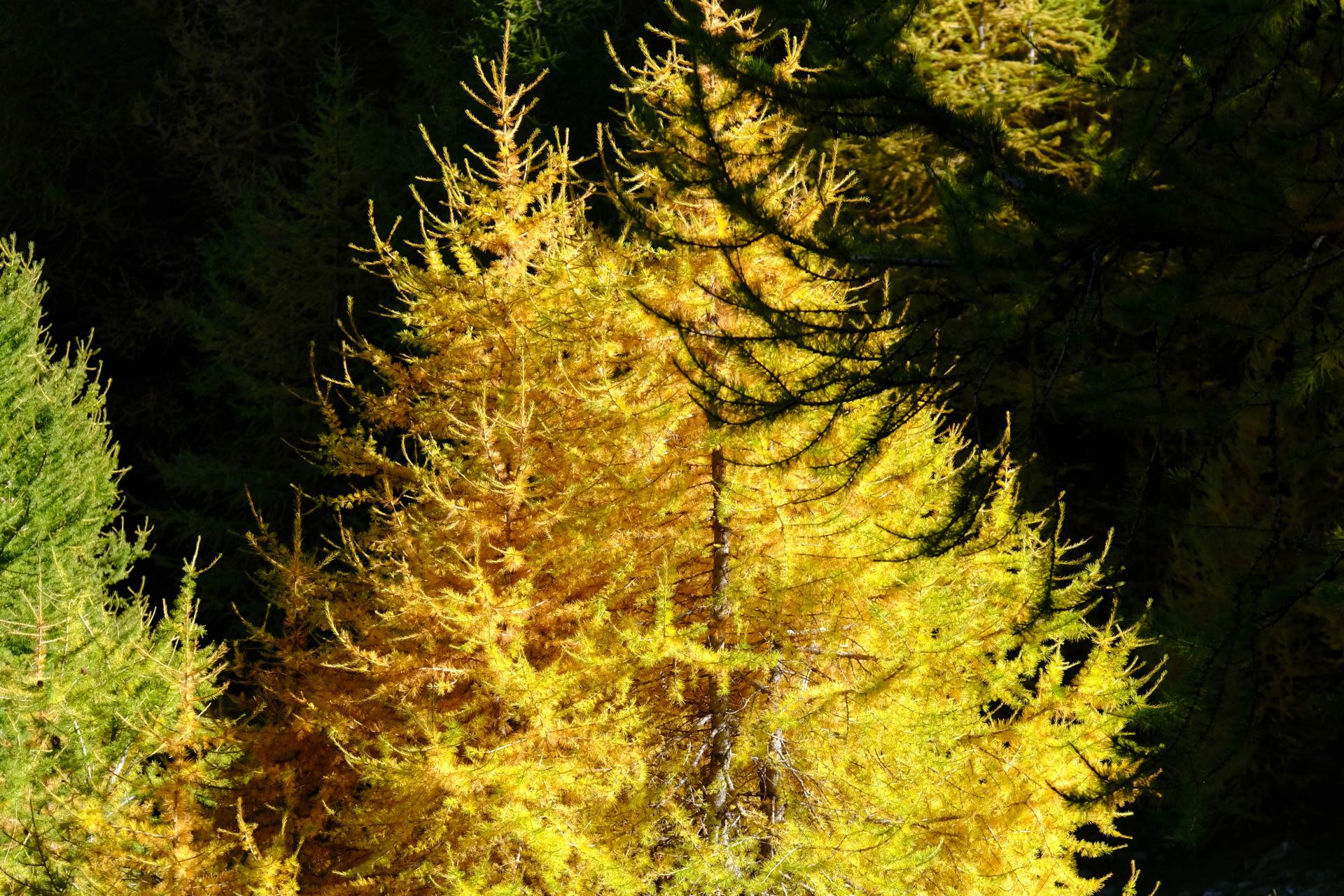 Dscf0122
