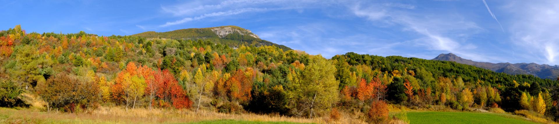 Sur la route de St Sauveur