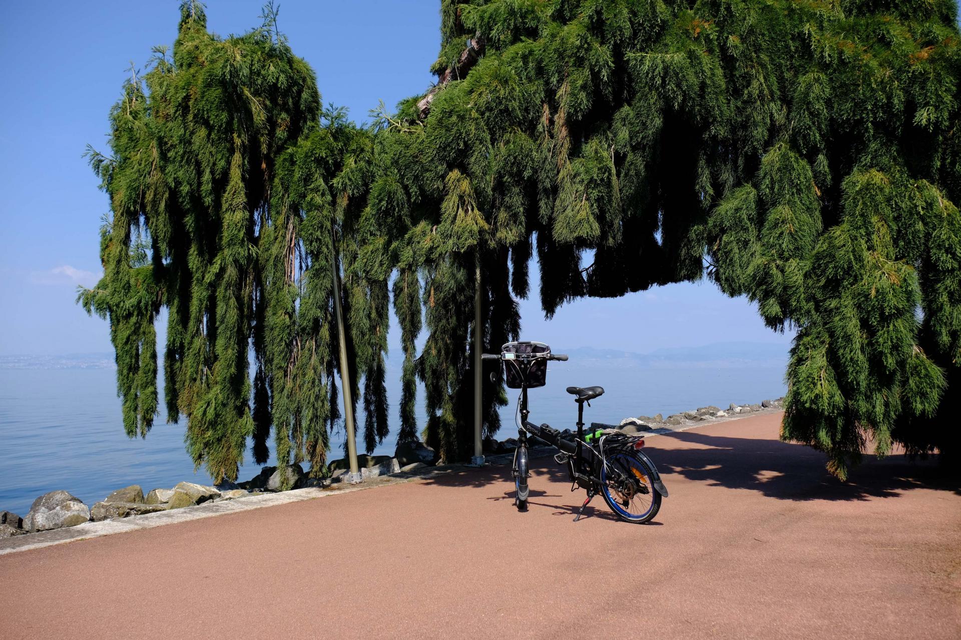 Très belle promenade le long du lac d'Evian