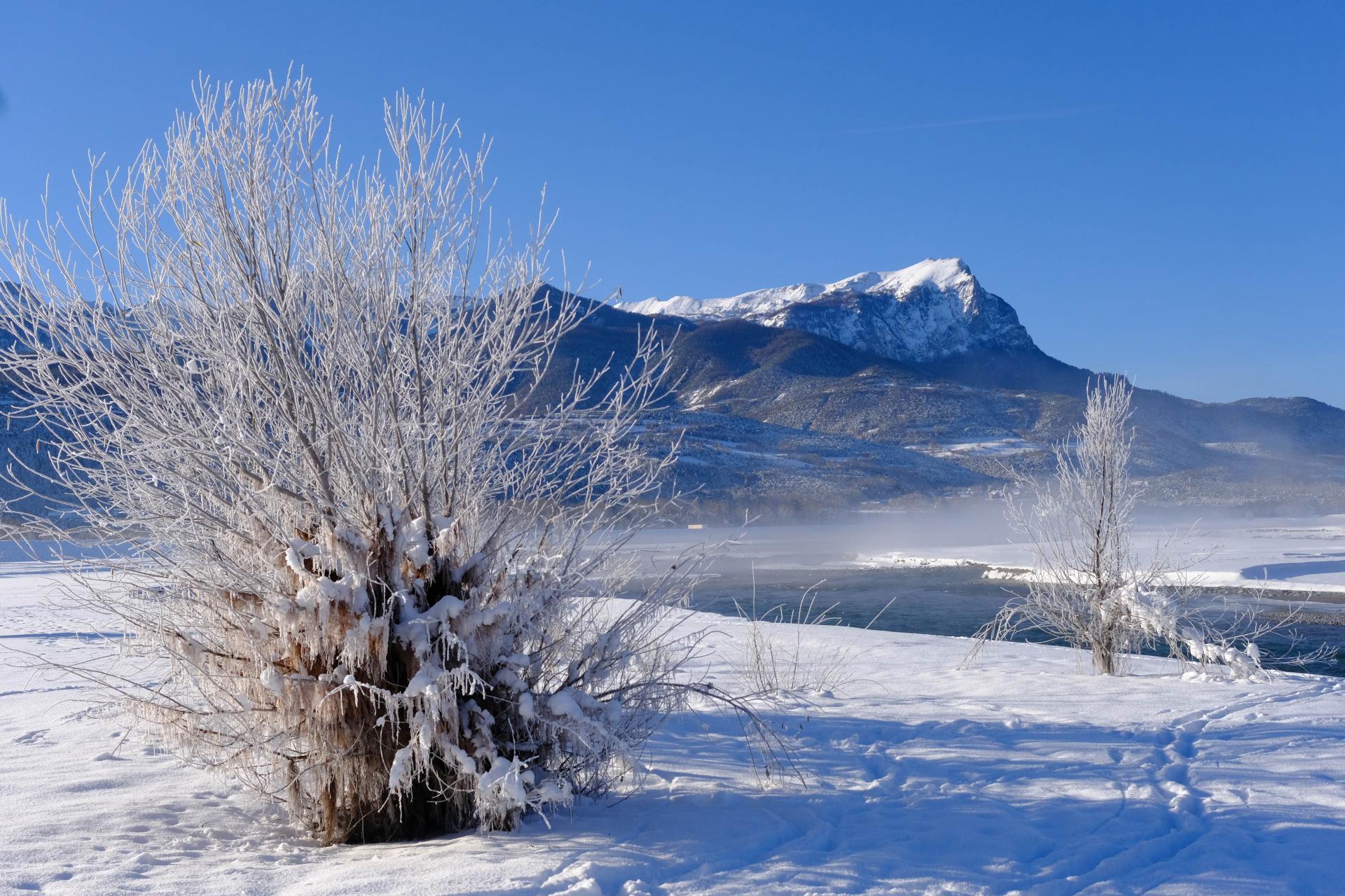 Trop beau avant que le givre fonde au soleil