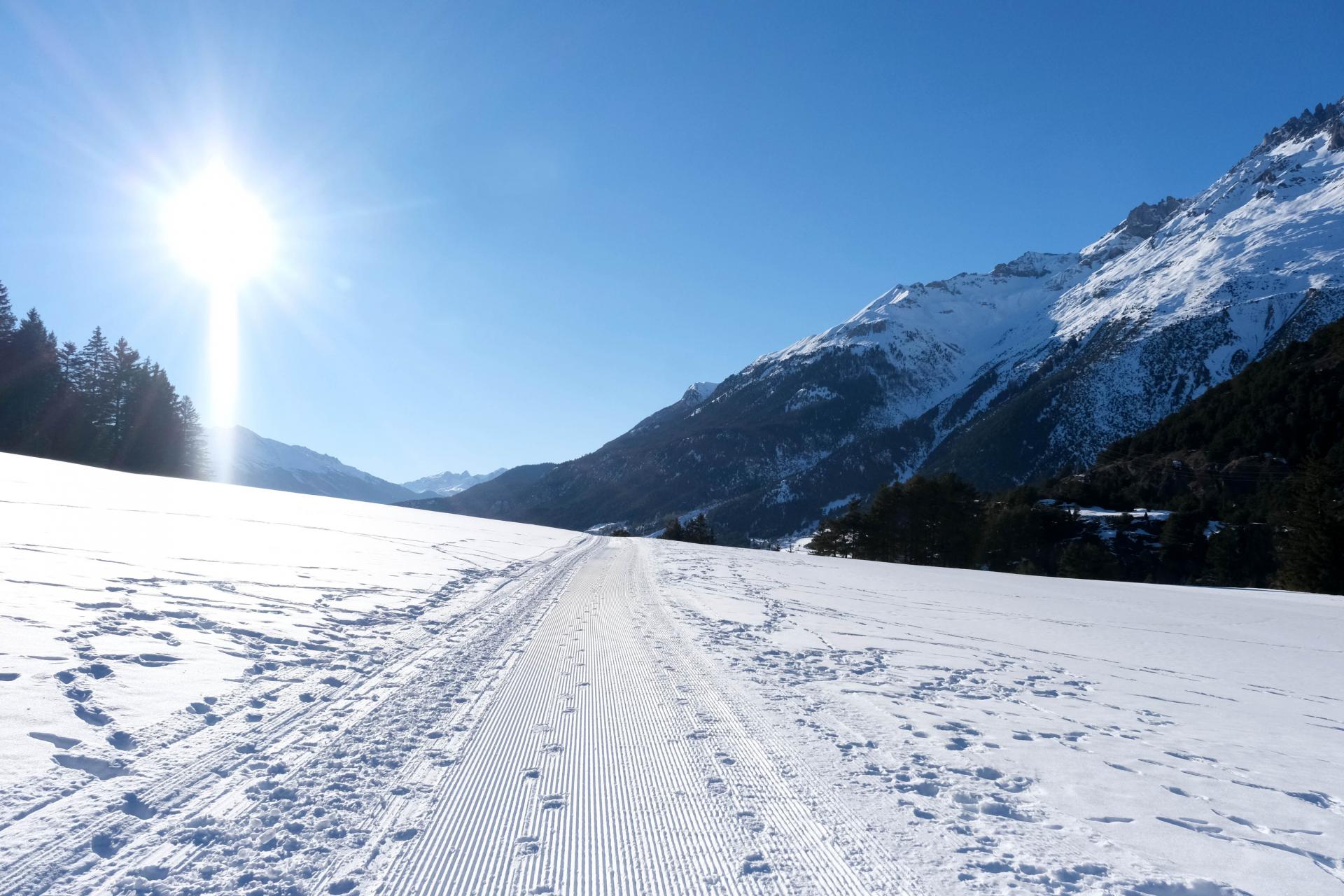 Sur la piste des mushers en attendant l'étape de nuit