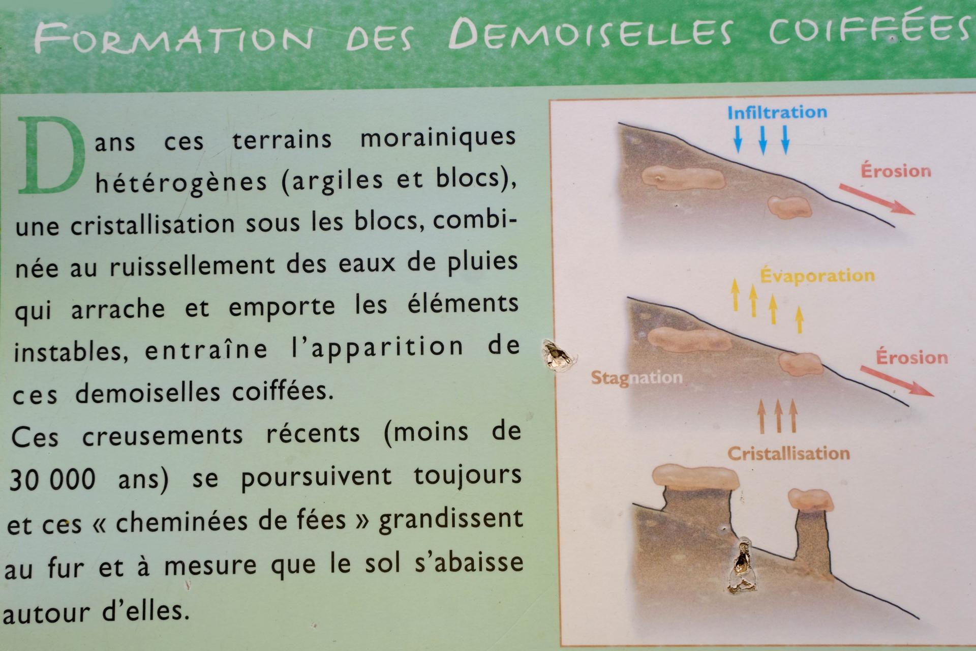 la formation des demoiselles coiffées