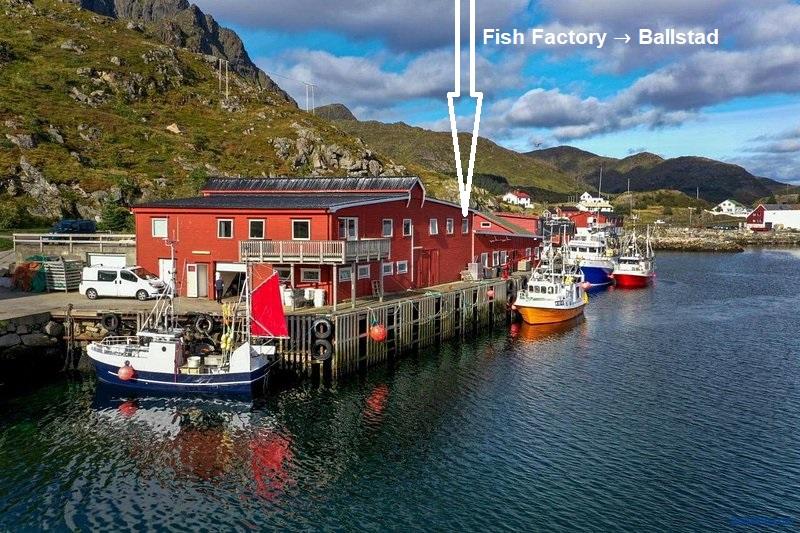 Fish Factory